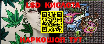 a pvp Моздок