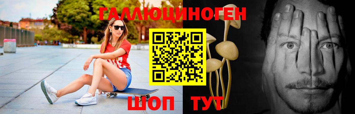 Верхняя Салда  Псилоцибиновые грибы прущие грибы  Вход с VPN 